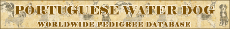 DogsFiles.com - databases of all dog's breeds.