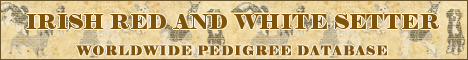 DogsFiles.com - databases of all dog's breeds.