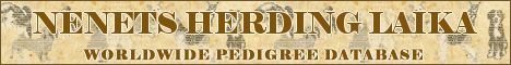 DogsFiles.com - databases of all dog's breeds.