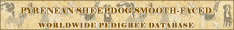 DogsFiles.com - databases of all dog's breeds.