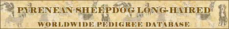 DogsFiles.com - databases of all dog's breeds.