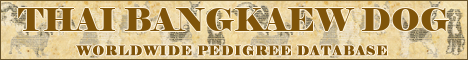 DogsFiles.com - databases of all dog's breeds.