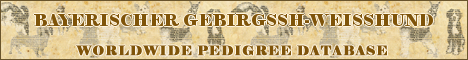 DogsFiles.com - databases of all dog's breeds.