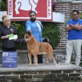 JOHNNIE WALKER WEINHOUND JOHNNIE WALKER WEINHOUND
