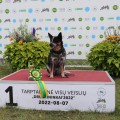 BOCCA EZHI ACD THOMSKI