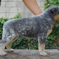 LITTABELLA OD DORRINKY LITTABELLA OD DORRINKY