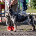 FALESER HOGLAND YAMAHA FALESER HOGLAND YAMAHA