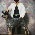 TIMBER BAD TO THE BONE