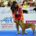 DAHLIA ZE STREZOVSKE ROKLE