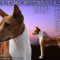 ENSEN HENNING MYSTERIOUS TALISMAN ENSEN HENNING MYSTERIOUS TALISMAN