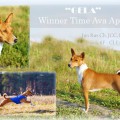 WINNER TIME AVA APONI