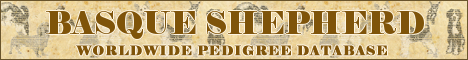 DogsFiles.com - databases of all dog's breeds.