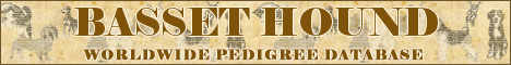 DogsFiles.com - databases of all dog's breeds.