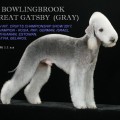 BOWLINGBROOK GREAT GATSBY