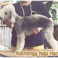RATHSRIGG NAP HAND