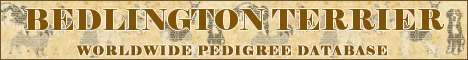 DogsFiles.com - databases of all dog's breeds.