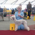 KINTERRA OPTIMIST KINTERRA OPTIMIST