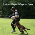 DON DU DRAGON ROUGE DE JUPITER DON DU DRAGON ROUGE DE JUPITER