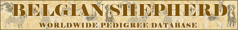 DogsFiles.com - databases of all dog's breeds.