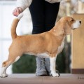ABSOLUTE POWER YASENPETS ABSOLUTE POWER YASENPETS