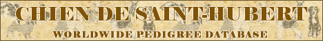 DogsFiles.com - databases of all dog's breeds.