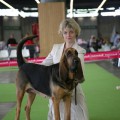 FLORENTINA FURORE DLIA NADEZHDA KSENII