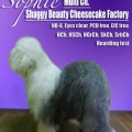 SHAGGY BEAUTY CHEESECAKE FACTORY SHAGGY BEAUTY CHEESECAKE FACTORY