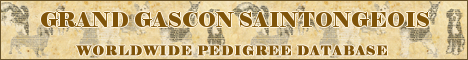 DogsFiles.com - databases of all dog's breeds.