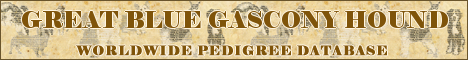 DogsFiles.com - databases of all dog's breeds.