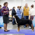 SENNENHUND ROSSII FILADELPHIA FANDI