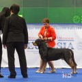 SENNENHUND ROSSII OSKAR-2 SENNENHUND ROSSII OSKAR-2