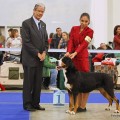 SENNENHUND ROSSII SHANGRI-LA SENNENHUND ROSSII SHANGRI-LA
