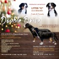 DOUBLE DRIVE G DOUBLE DRIVE G