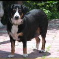 RAMONA OD ASTRID RAMONA OD ASTRID