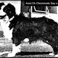 CHECKMATE GAY LADY
