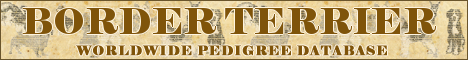 DogsFiles.com - databases of all dog's breeds.