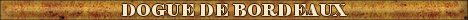 DogsFiles.com - databases of all dog's breeds.
