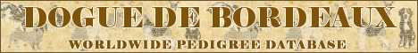 DogsFiles.com - databases of all dog's breeds.
