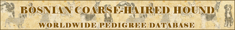 DogsFiles.com - databases of all dog's breeds.