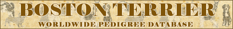 DogsFiles.com - databases of all dog's breeds.