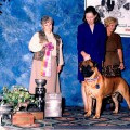 AVONLEA STORYBOOK GOODFELLA