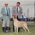 LEATHERNECK S BUFFALO BULL CODI