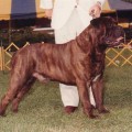 BLACKSLATE'S BOSTON BLACKIE