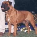 ALLSTAR'S MUGSY MALONE