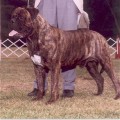 ALLSTAR'S TERRY THOMAS