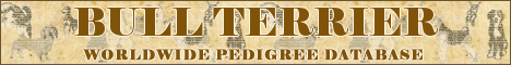 DogsFiles.com - databases of all dog's breeds.