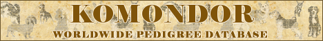 DogsFiles.com - databases of all dog's breeds.