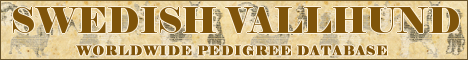 DogsFiles.com - databases of all dog's breeds.