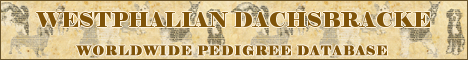 DogsFiles.com - databases of all dog's breeds.