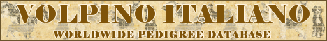 DogsFiles.com - databases of all dog's breeds.
